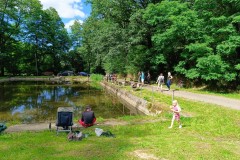 IMG_20240622_154644