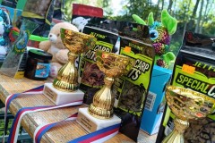 IMG_20240622_173105