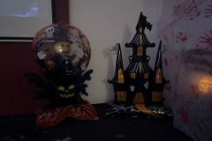 IMG-20251109-WA0005