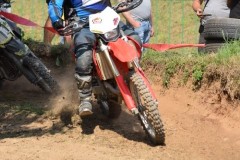 DSC_0012-Small