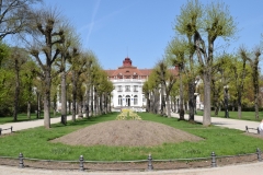 DSC_0043 (Střední)